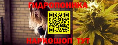 дмт Ипатово