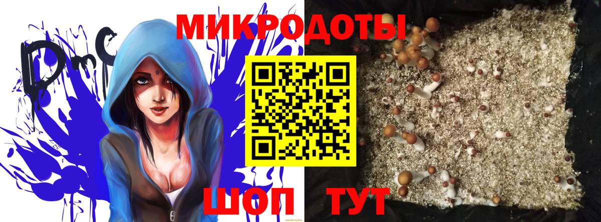 хочу   Вход с VPN  Вышний Волочёк  Галлюциногенные грибы Magic Shrooms 